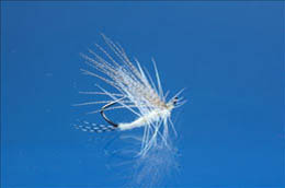Stealth Light Cahill
