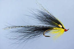 Gledswood Black And Yellow Shrimp