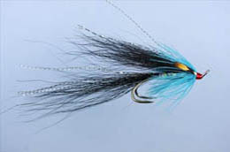 Gledswood Black And Blue Shrimp