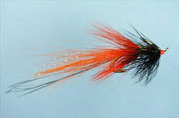 Ballathie Shrimp