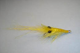 Coldwater Shrimp