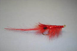 Autumn Shrimp