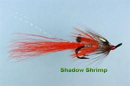 Shadow Shrimp JC