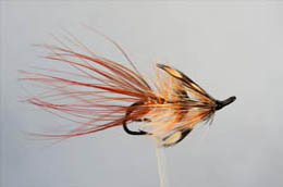 Hutchie's Shrimp