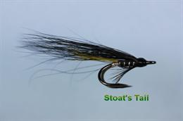 Stoat's Tail