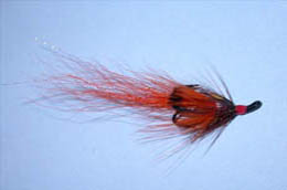 Shadow Shrimp