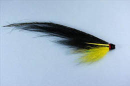 The Yellow Monkey Aluminium Tube