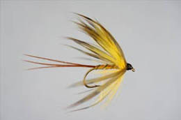 Green Mayfly