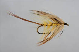 French Partridge Mayfly