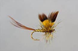 Conn Mayfly