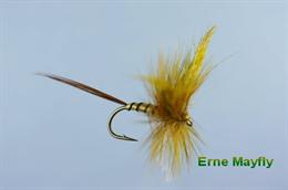 Erne Special Mayfly