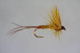 Mosley Mayfly