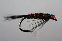 Diawl Bach Black Flashback