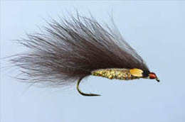 Brown Zonker JC