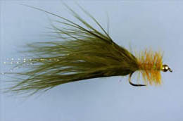 WSW Golden Olive