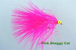 Pink Shaggy Cat