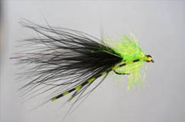 Flexi Black Cat