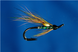Holo Green Willie Gunn