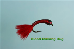 Blood Stalker Bug