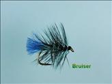 Bruiser