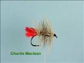 Charlie Maclean