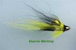 Durris Shrimp
