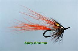 Spey Shrimp