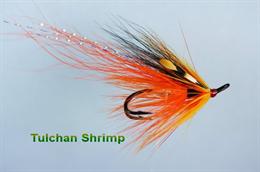 Tulchan Shrimp JC