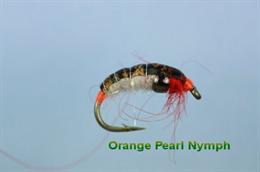 Orange Pearl  Bug