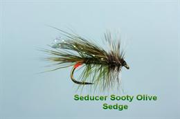 Sooty Olive Seducer Sedge