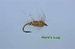Hare's Lug