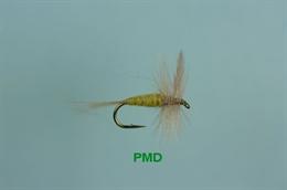 PMD