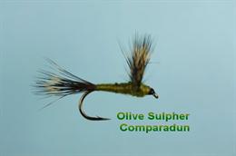 Olive Sulphur Campara Dun