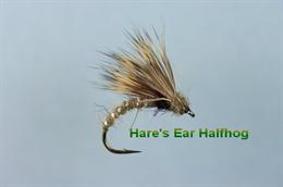 Hares Ear Halfhog