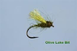 Olive Lake Bit