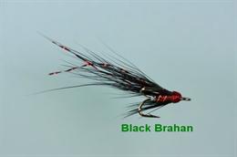 Black Brahan Micro Treble