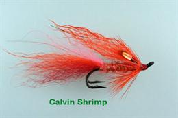 Calvin_Shrimp_JC