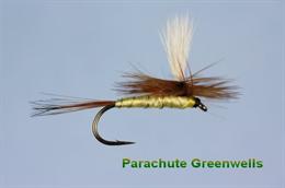 Parachute_Greenwells