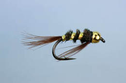 Gold Diawl Bach
