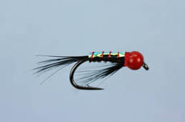 Red Diawl Bach
