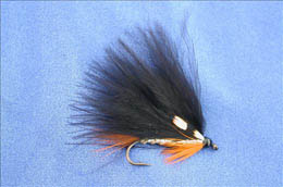 Black & Orange