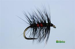 Bibio
