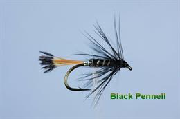 Black Pennell