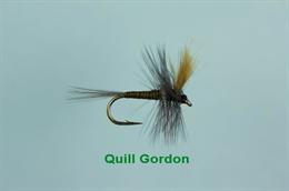 Gordon Quill