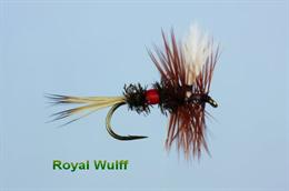 Royal Wulff