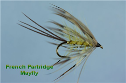 French Partridge Mayfly