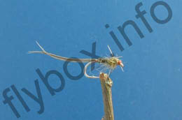Little Green Dry Nymph
