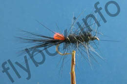 Black Woolly Worm
