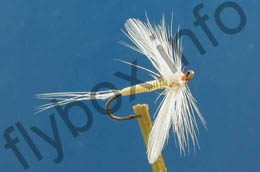 Winged Yellow Boy