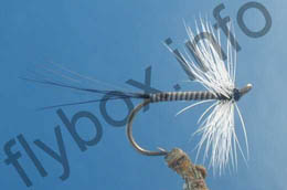 Badger Quill Hackle